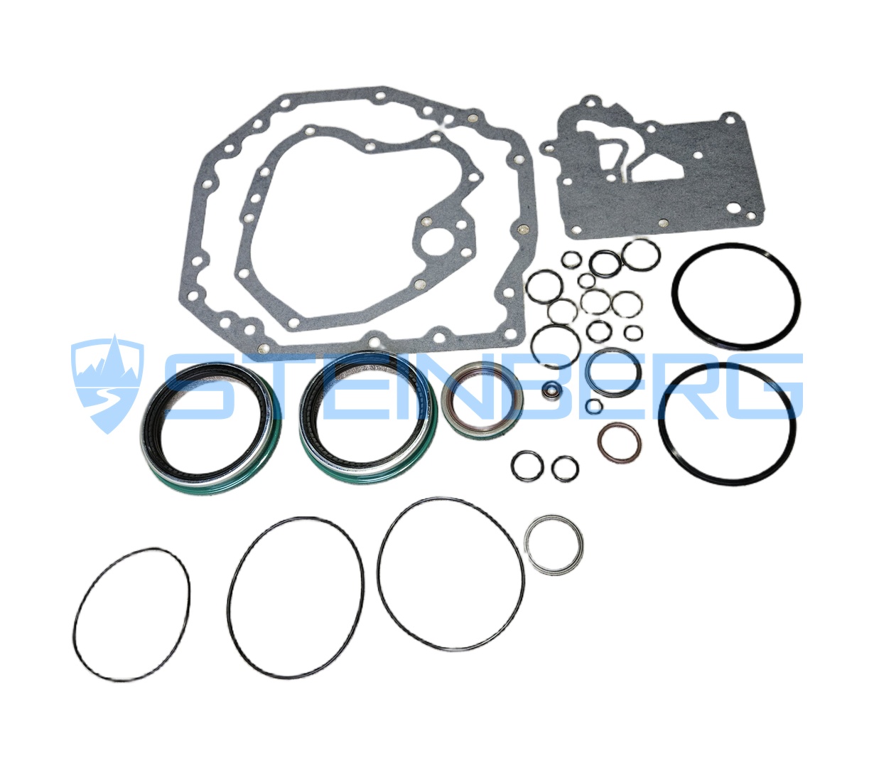 Clark 8450057 Seal and gasket kit