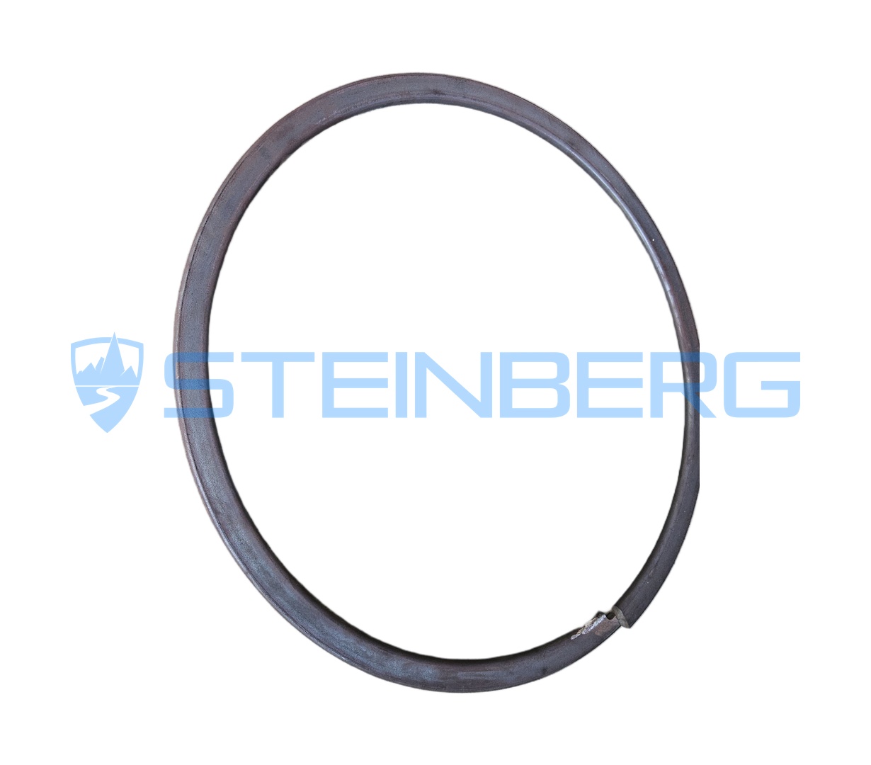 CVS Ferrari 615153SF Lock ring