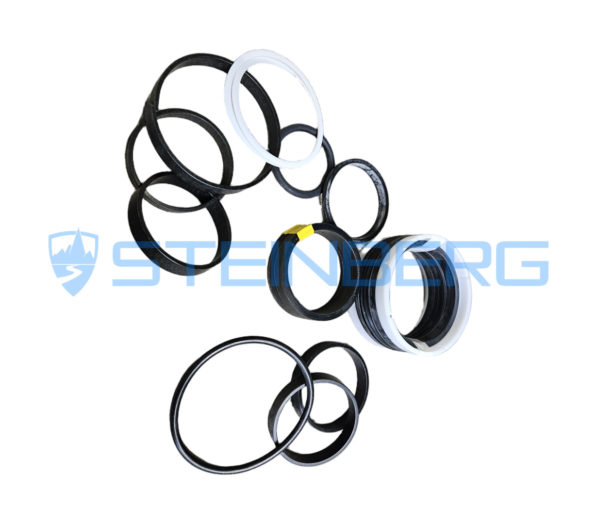 FTMH SKCIM0020 Seal kit