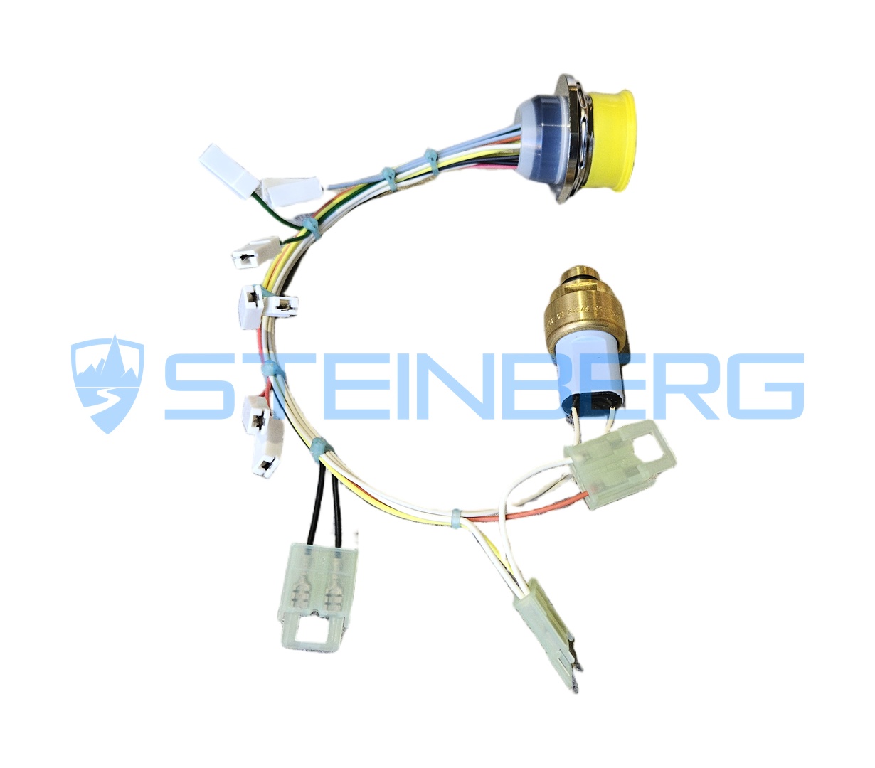 Kalmar J06099.0100 Pressure sensor