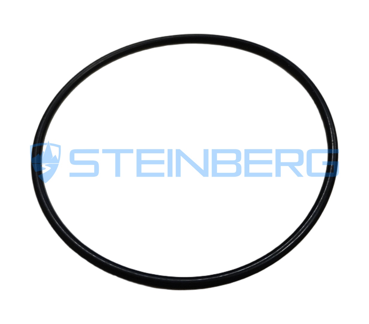 FTMH 200280-48 O-ring