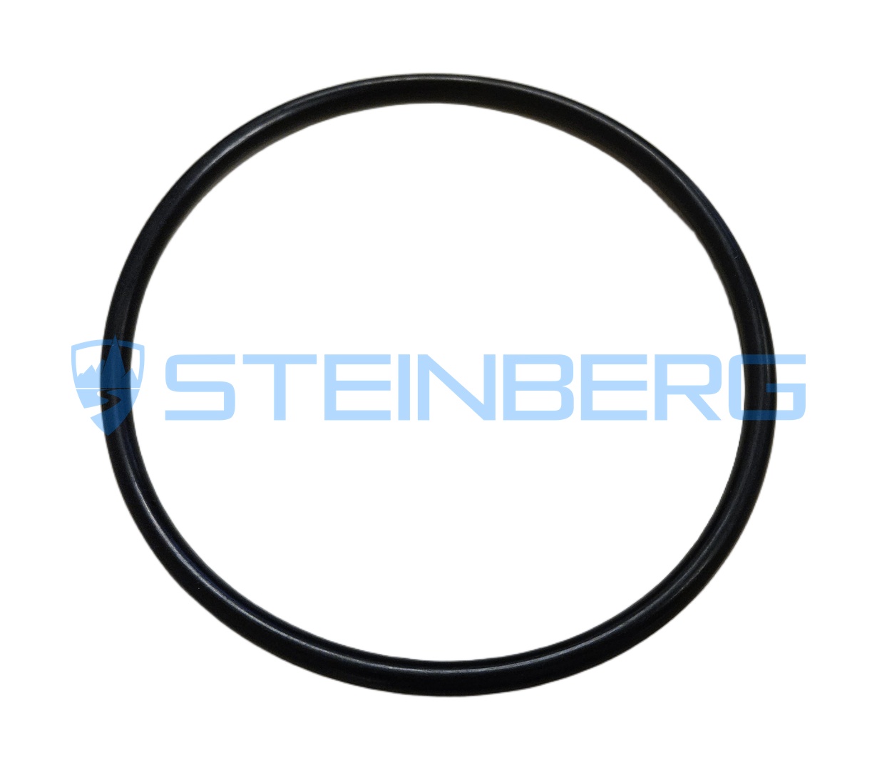 FTMH 200280-49 O-ring
