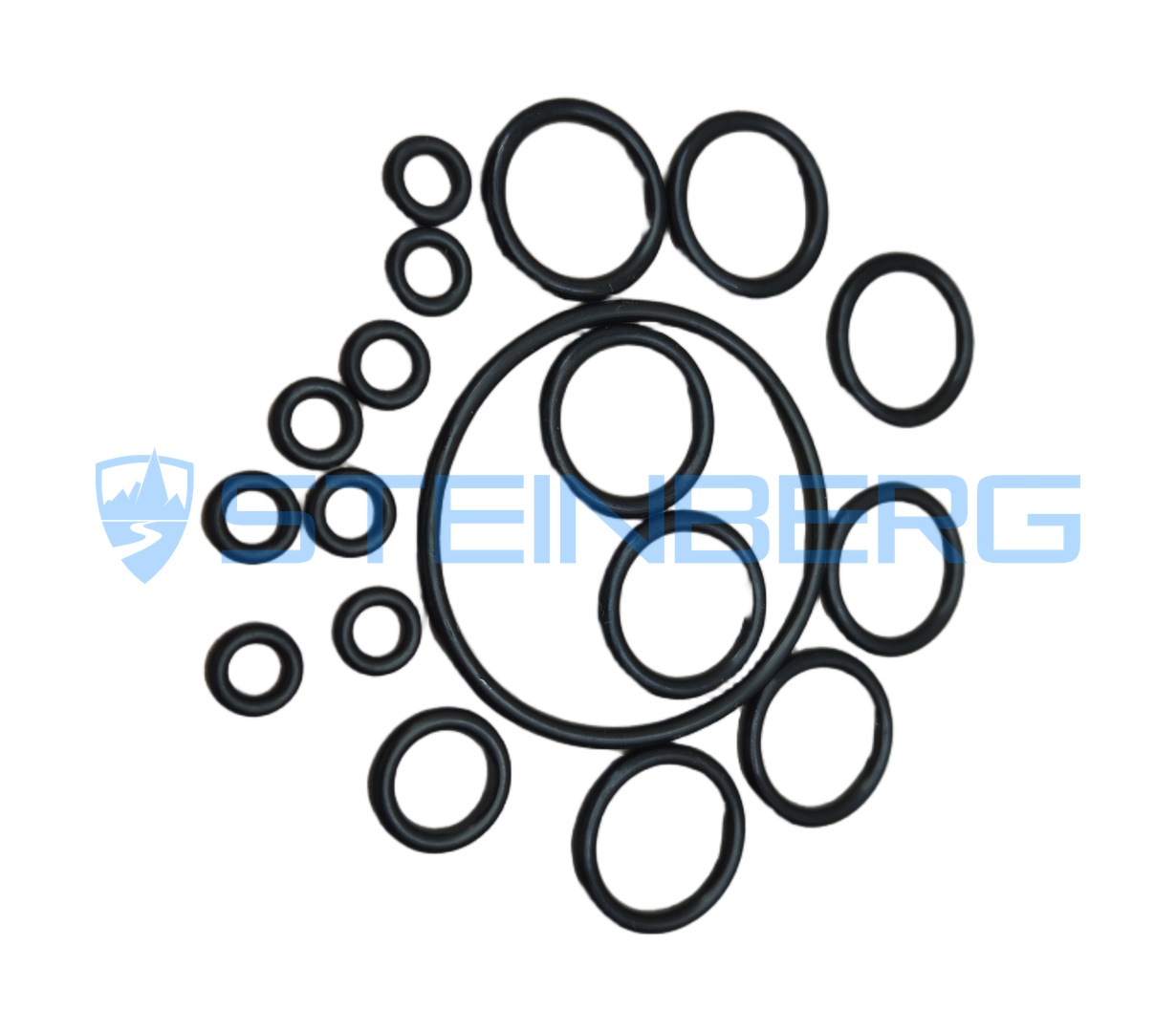 Hyster 4010450 Seal kit