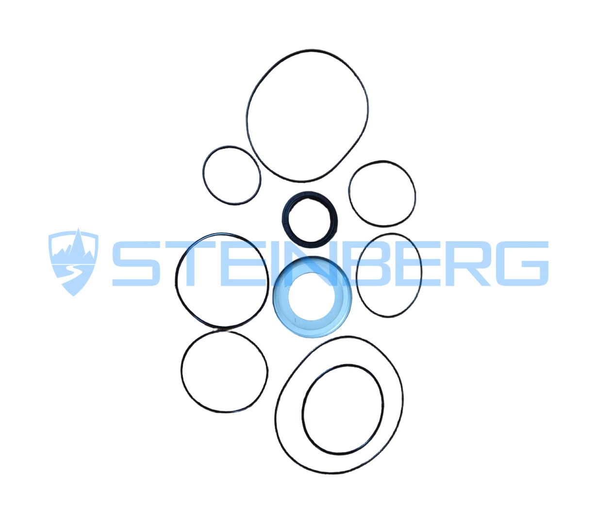 Hyster 6999031 Seal kit